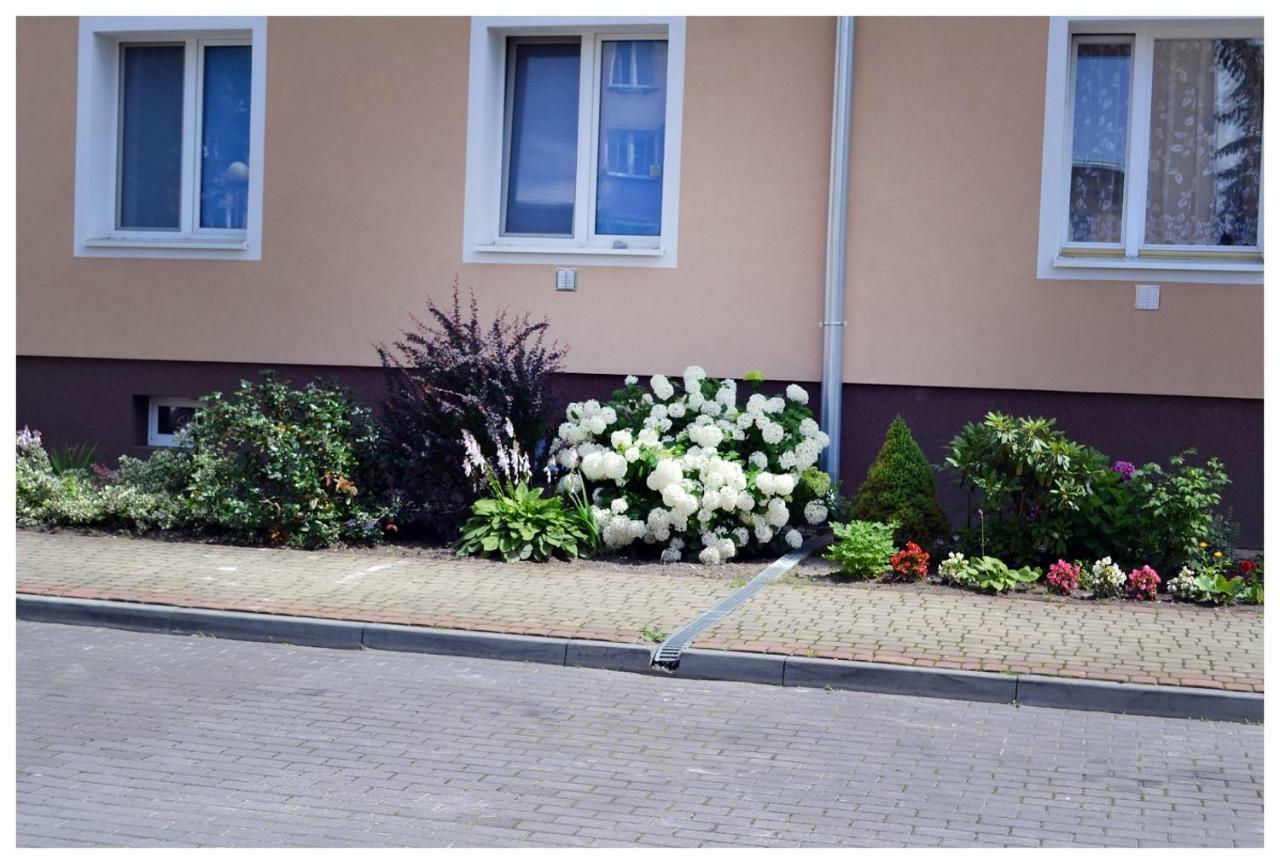 Color24 Apartament Сталова Вола Екстериор снимка